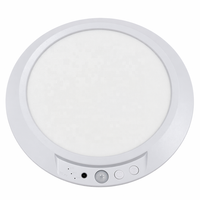 Lampe LED rechargeable à détecteur de mouvement, sûre et pratique, à intensité variable, 3 températures de couleur, télécommande, minuterie, arrêt programmé, fixation magnétique
