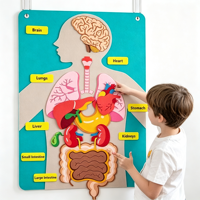 Kits pédagogiques Montessori sur les parties du corps humain pour les tout-petits, jouets d'apprentissage de l'anatomie préscolaire, éducation précoce OEM