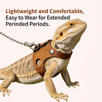 Harnais et laisse pour reptiles (lézards, caméléons, écureuils) – Gilet réglable avec sangle de poitrine pour la promenade en extérieur – Vente en gros, OEM, personnalisable