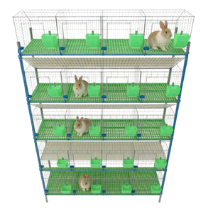 Cage à lapins robuste en acier galvanisé de type H avec nichoir intégré pour des opérations d'élevage agricole à haute productivité - Product Image 3