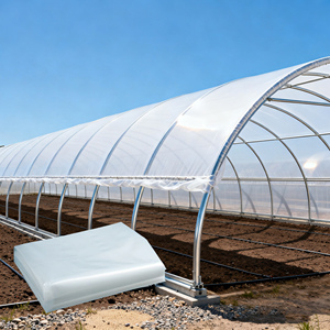 Fabrika Tedarikli 200 Mikron UV Dayanımlı Şişirme Kalıplama Sera Filmi Şeffaf Toz Geçirmez Polietilen Tarım Tüneli Örtüsü - Product Image 1