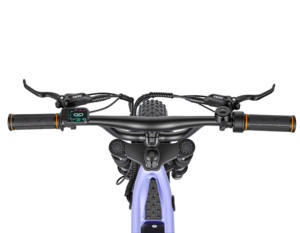 Powerful 36V 350W <strong>Kids</strong> <strong>Electric</strong> Dirt <strong>Bike</strong> with Dual Suspension 16 Inch Fat Tires Hydraulic Disc Brakes for Teens Adventure - Product Image 6