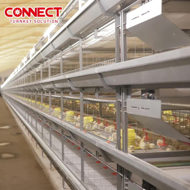 ماكينة الزراعة الصناعية الأوتوماتيكية بالكامل لزرع الدجاج وبها قفص للدجاج الذي يعمل بالبطارية لمزرعة الدواجن