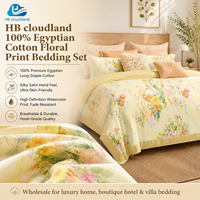 Parure de lit en coton égyptien imprimé, certifiée OEKO-TEX Standard 100, BSCI, 400 fils, résistante à la décoloration, douce et de qualité supérieure, Cloudland