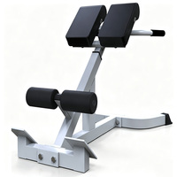 Chaise romaine réglable et pliable, banc d'hyper-extension portable robuste pour la maison, équipement de fitness pour l'entraînement des lombaires, du dos et des fessiers