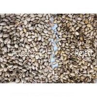 Máquina Clasificadora de Nueces por Color WENYAO con Sensor CCD de Alta Definición para Almendras Crudas, Blanqueadas y Tostadas, Anacardos y Pistachos