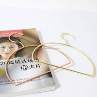 Nordic Semi-Circular Luxury Lady Metal Hanger Tie Rack Scarf Rack Belt Rack Silk Gold Scarf Hanger
