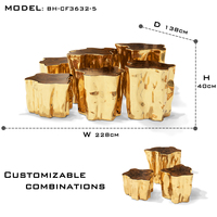 Ensemble de tables basses Inspired Accent en laiton poli, design inspiré de la nature, style contemporain et moderne, meubles de salon