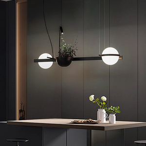 Lustre <span class=keywords><strong>en</strong></span> <span class=keywords><strong>fer</strong></span> <span class=keywords><strong>forgé</strong></span> pour plantes, éclairage décoratif pour îlot <span class=keywords><strong>de</strong></span> bar, comptoir <span class=keywords><strong>de</strong></span> salle à manger, style nordique moderne minimaliste - Product Image 3