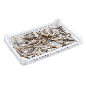 Precio competitivo de fábrica HDPE ventilado algodón de azúcar bandeja de secado de plástico con agujero de malla - Product Image 4