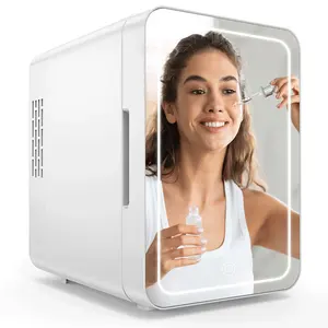 ตู้เย็นขนาดเล็ก 4 ลิตรพร้อมกระจกและไฟ LED AC DC 110v 220V มินิความงามกล่องเย็นตู้เย็นเครื่องสําอางสําหรับอาหารบํารุงผิวเครื่องดื่ม
