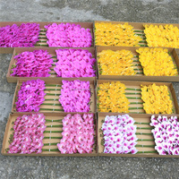 Fleurs d'orchidées Phalaenopsis artificielles de qualité supérieure, toucher réel en latex, papillon avec tige pour la décoration de mariage et de la maison