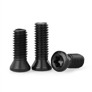 Tornillo Torx de Acero Grado 12.9 M2 M2.5 M3 M4 M5 M6 para Barra de Herramienta de Torneado - Product Image 3