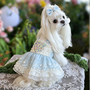 Ropa para Perros y Gatos de Algodón Suave Directo de Fábrica, Estilo Lolita, para <span class=keywords><strong>Chihuahua</strong></span>, Poodle, Accesorios para Fotos, Ropa para Salidas de Fin de Semana - Product Image 2