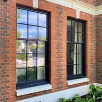 Puertas y Ventanas Modernas Personalizadas de Doble Panel Aislante de Aleación de Aluminio Negro, Ventanas Corredizas Verticales