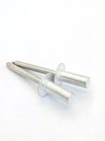 Rivets aveugles à extrémité fermée personnalisables de haute qualité, multi-styles, à tête dôme, en aluminium et acier inoxydable, avec gamme de mandrins de préhension – Vente chaude