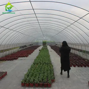 隧道温室热卖花园塑料蔬菜隧道温室在中国制造