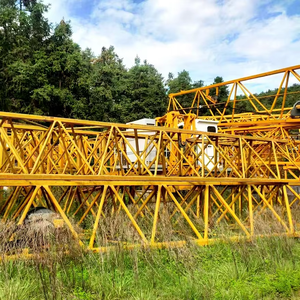 W6010 6T Hydraulic <b>Tower</b> <b>Crane</b> - Efficient Lifting Equipment for Industrial & Commercial Construction - Product Image 1