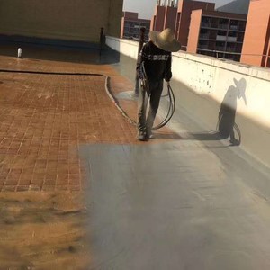 China Venta caliente Exterior techo poliurea <span class=keywords><strong>pintura</strong></span> en aerosol impermeable <span class=keywords><strong>pintura</strong></span> de poliurea - Product Image 2