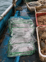 Nasse de pêche multifilament PE Rong Bay PE-HCT à nœud simple 23*38cm 31 armatures pour crabes, homards et crevettes