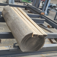 Scie à angle à double lame contrôlée par écran tactile PLC, scie circulaire automatique pour bois rond, pour bois carré