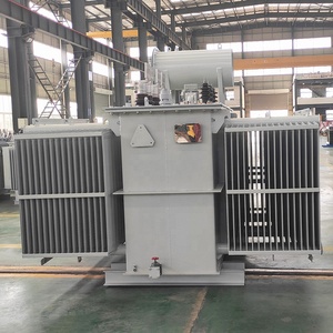 Transformateur de puissance immergé dans l'huile 3 MVA 33/0,4 kV 33 MW 33 kV - Product Image 5