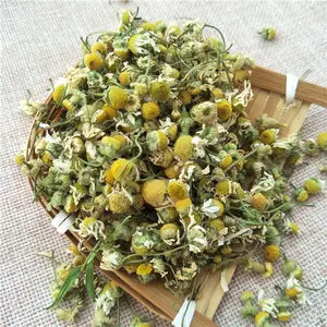 Bulk Natural Dried Chamomile Egypt Loose Herbal Flower Tea Roman Chamomile For Tea