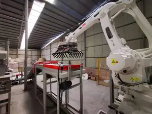 Voll automatischer Roboter-Palettenroboter-Palet tierer mit Palettierung