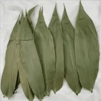 Feuilles de bambou naturelles de qualité alimentaire séchées pour Zongzi, grande taille, feuilles de bambou du Sichuan pour emballages de riz collant professionnels, vente en gros