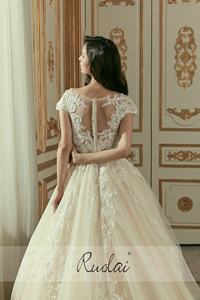 Ruolai ZW01002 elegante camicia Vintage manica Champagne cattedrale abito da ballo in pizzo abito da sposa modesto abito da sposa - Product Image 6