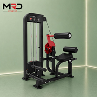 Machine à presser les mollets assis à charge par poulie, entraîneur de mollets et de soleus, équipement de fitness pour la force des jambes inférieures