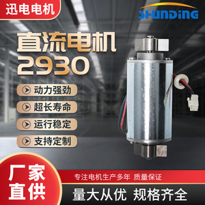 Motor de CC 2930 de imán permanente sincrónico de 12 V para reemplazo y reparación de motores eléctricos - Product Image 5