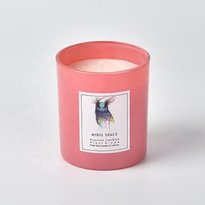Velas <span class=keywords><strong>Comprar</strong></span> en línea Cera de soja orgánica personalizada Etiqueta privada Vela de vidrio de color perfumado para la venta - Product Image 3