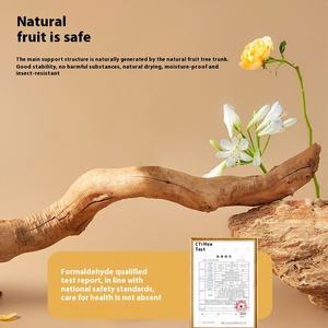 Arbre à chat moderne en bois naturel Sunflower à 2 niveaux avec poteau à gratter en sisal, base stable, structure d'escalade multi-chats pour chats d'intérieur - Product Image 3