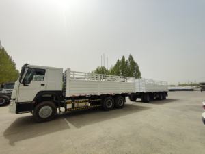 Camión de Carga Sinotruk HOWO 371/400/430HP 6*4 con Plataforma Abatible, 10 Ruedas, con Remolque Completo para Etiopía - Product Image 3