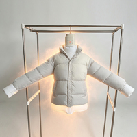 Machine à repasser les vêtements automatique, sécheuse à air chaud, mini fer à repasser pliable, sécheuse à vêtements portable, sécheuse à vêtements électrique
