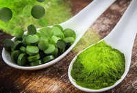 Comprimés de spiruline de la marque Shangmei, prix de gros OEM, haute qualité, pureté 99%, apport d'énergie, 500 mg, 4 comprimés/jour