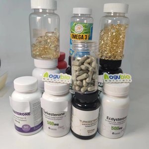 AOGUBIO OEM Marque privée Suppléments <span class=keywords><strong>de</strong></span> santé 99% <span class=keywords><strong>Zinc</strong></span> <span class=keywords><strong>Orotate</strong></span> Poudre - Product Image 3