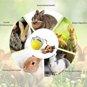 Moda Hayvanları Tavşanlar ve Kediler İçin Evcil Hayvan Maması Bulmaca Besleme Oyuncağı, ABS Malzemeli Ödül Dağıtıcı ve Logolu - Product Image 6