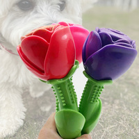 Jouet à mâcher pour chien en caoutchouc de luxe OEM, en forme d'os, pour la Saint-Valentin, avec brosse à dents intégrée, design amusant, cadeau pour petits animaux