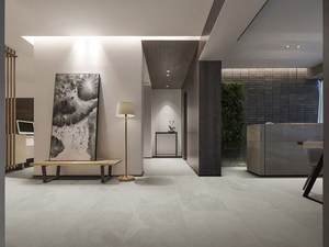 Azulejos de porcelana mate modernos para aplicación en interiores y exteriores para suelo, pared, escalera, almacén, salón, acentos, azulejo cuadrado - Product Image 2