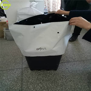 <span class=keywords><strong>Sac</strong></span> de jeunes arbres PE Offre Spéciale pour la fraise - Product Image 2