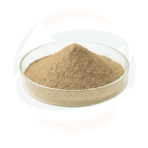 Extrait <span class=keywords><strong>de</strong></span> Salicin à 98% <span class=keywords><strong>de</strong></span> Peau <span class=keywords><strong>de</strong></span> <span class=keywords><strong>Saule</strong></span> <span class=keywords><strong>Blanc</strong></span> Pur, Fabrication en Gros, Haute Pureté, Extrait <span class=keywords><strong>de</strong></span> Peau <span class=keywords><strong>de</strong></span> <span class=keywords><strong>Saule</strong></span> <span class=keywords><strong>Blanc</strong></span> en Poudre - Product Image 2