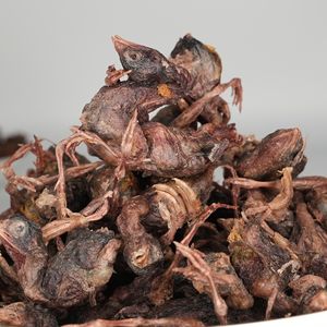 Заводская прямая сублимированная сушеная перепелка, полностью натуральные высокопротеиновые лакомства для собак, кошек и рептилий, питание для всей добычи - Product Image 1