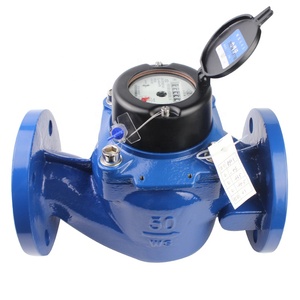 Compteur de vitesse d'eau 300 mm – Différents types de compteurs d'eau 300 mm - Product Image 1
