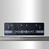 Réfrigérateur commercial grande capacité réfrigérateur vertical en acier inoxydable contrôle de température intelligent congélation congélateur vertical