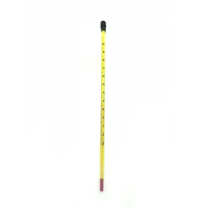 Kunststoff Top Zubehör Design Kerelab Alkohol Glas Thermometer mit roter Flüssigkeit