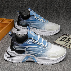 Zapatillas Deportivas Casuales Ligeras Clásicas en Oferta, Buen Precio, MOQ Bajo, Zapatillas de Plataforma de Moda Masculina para Otoño - Product Image 1