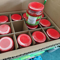 Marque OEM Pâte de tomate de haute qualité en bocal de différentes tailles 70g 200g 340g Boîte en vrac Tambour Sachet Options Sac Emballage