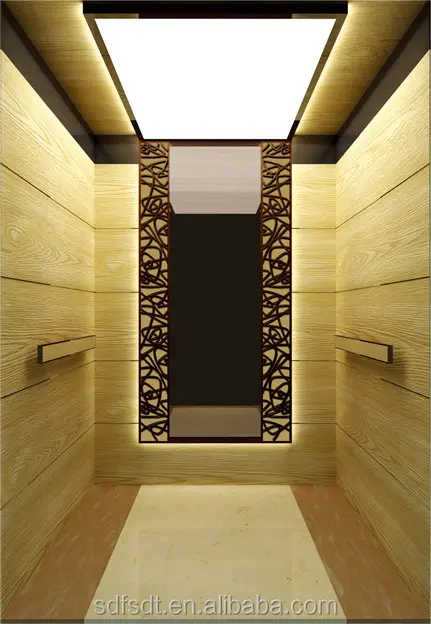중국 안전 주거 엘리베이터 금 S. 강철 차 호텔에서 사용되는 큰 오두막